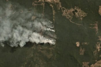 Planet image of Altamira (-5.79, -53.69) in the State of Pará, Brazil taken on August 8, 2020. Courtesy of Planet.