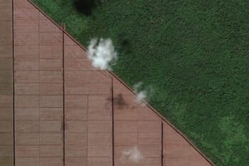 Satellite image of a pulp and paper plantation on peatland in Riau, Sumatra. Courtesy of Zoom Earth.