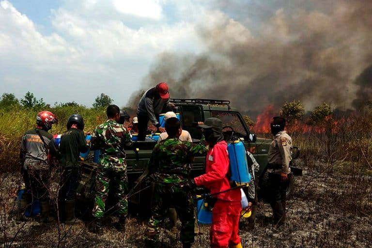 In Borneo, the 'Power of Mama' fight Indonesia's wildfires with all-woman  crew