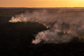 Hotspot directly in the forest, next to a freshly deforested area in Alta Floresta, Mato Grosso state. © Christian Braga / Greenpeace