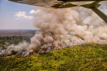 Heat spots in areas with Prodes warnings (2017-2019). Area next to the borders of the Kaxarari Indigenous territory, in Lábrea, Amazonas state. Taken 17 Aug, 2020. CREDIT: © Christian Braga / Greenpeace