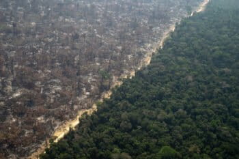 Burnt forest, in Porto Velho, Rondônia state. 18 Aug, 2020 CREDIT: © Christian Braga / Greenpeace