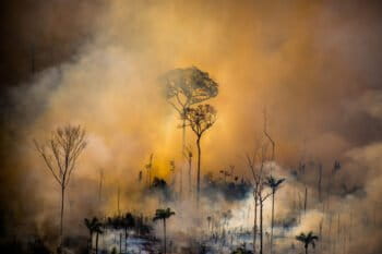 Heat spots in areas with Prodes warnings (2017-2019). Area next to the borders of the Kaxarari Indigenous territory, in Lábrea, Amazonas state. Taken 17 Aug, 2020. CREDIT: © Christian Braga / Greenpeace