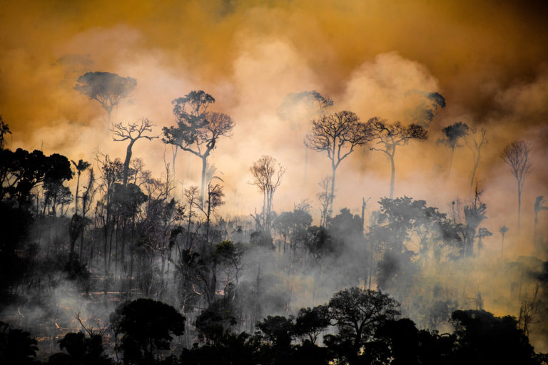 Heat spots in areas with Prodes warnings (2017-2019). Area next to the borders of the Kaxarari Indigenous territory, in Lábrea, Amazonas state. Taken 17 Aug, 2020. CREDIT: © Christian Braga / Greenpeace