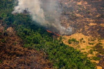 Live hotspots in areas with Prodes 2019 and Deter warnings, in Colniza, Mato Grosso state. Taken 17 Aug, 2020. CREDIT: © Christian Braga / Greenpeace