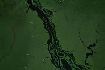 Satellite image of the Rio Negro in September 2020. Courtesy of Zoom.Earth.
