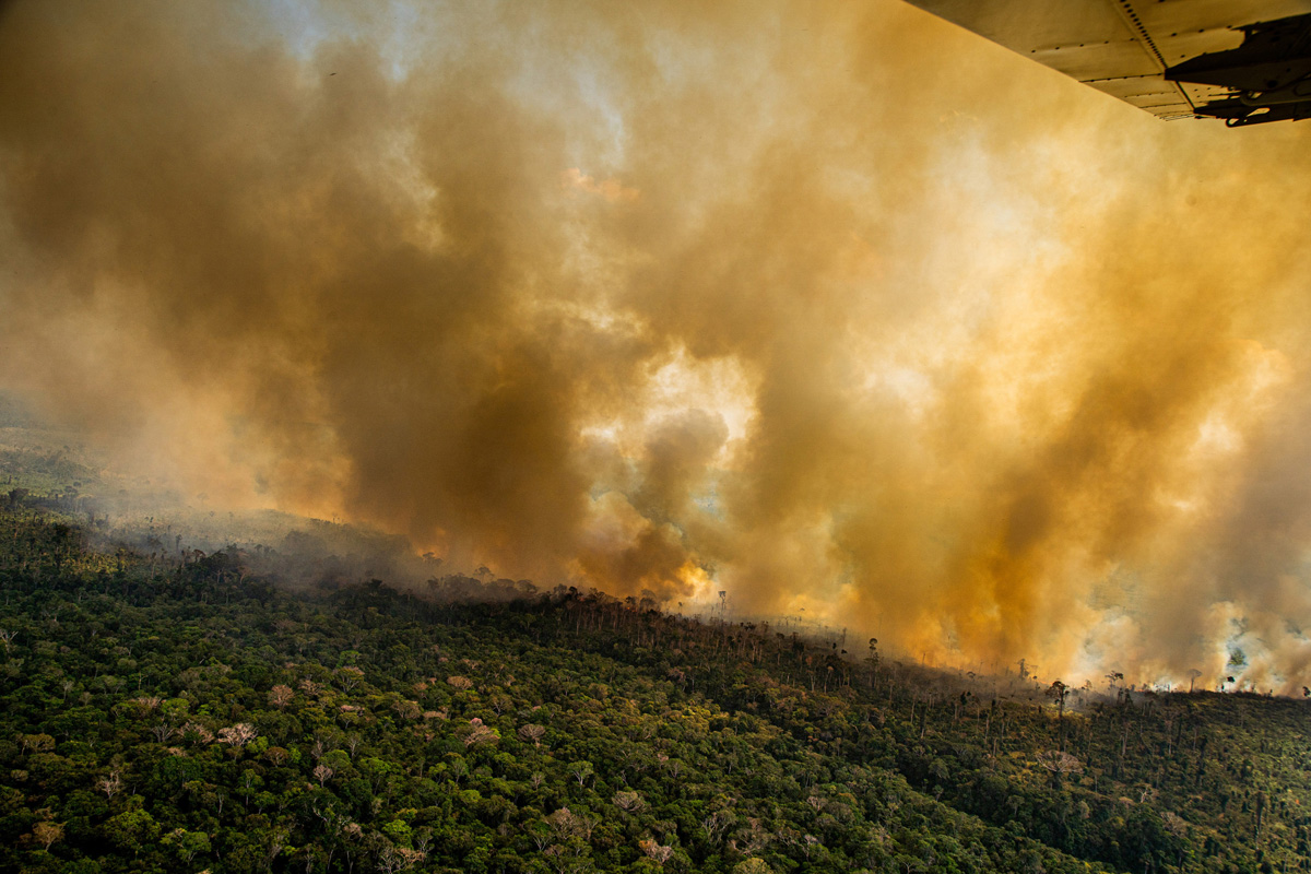 Thanks to humanity, the Brazilian  is now releasing more carbon  dioxide than it absorbs