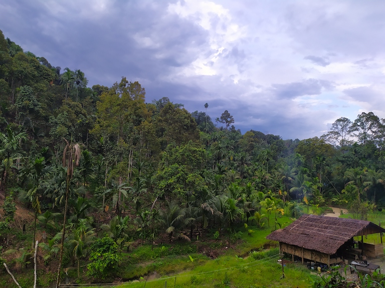 Harus Ada Dukungan Pelestarian Alam Untuk Masyarakat Di Tepi Hutan Leuser Mongabay Co Id Mongabay Co Id