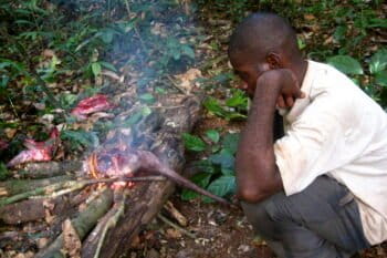 Man roasting bushmeat. Image by Corinne Staley via Flickr (BY-NC-2.0)