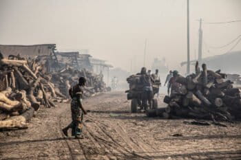 Firewood is being used on a large scale in Kafountine at the fish smoking factories. ©Jason Florio/United Purpose.