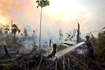 Smoke rising from smoldering peatland in PT Raja Garuda Mas Sejati. Photo courtesy of Greenpeace Media Library.