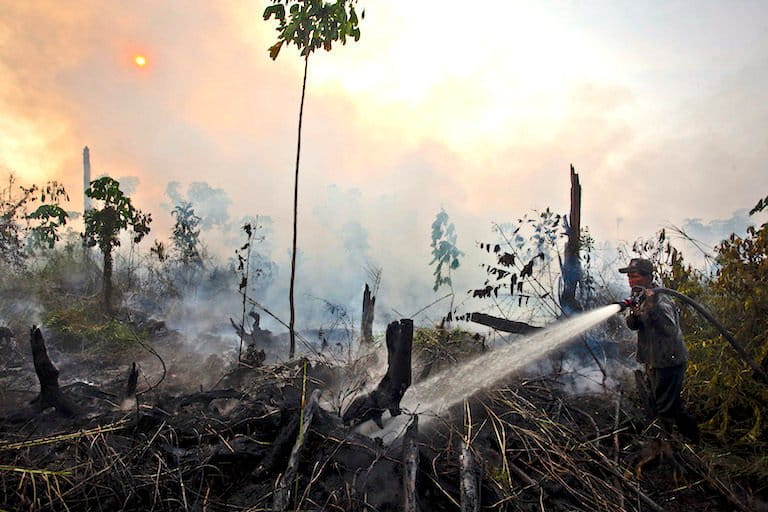 In Borneo, the 'Power of Mama' fight Indonesia's wildfires with