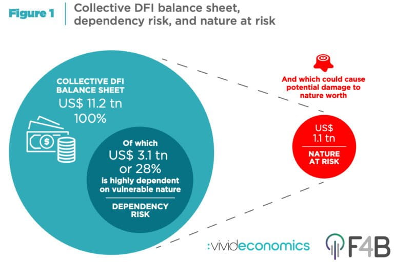 The Finance for Biodiversity Initiative and Vivid Economics released "Aligning Development Finance with Nature’s Needs: Protecting Nature’s Development Dividend” on November 3. The report estimates the dependency of development finance institutions’ (DFIs’) collective balance sheet on vulnerable nature (“dependency risk”), alongside the potential damage to nature from t