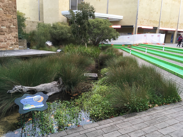 An urban wetland in Australia. Image courtesy of Tim Beatley.