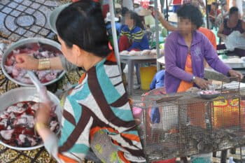 Woman slaughtering rats at a market in Dong Thap, Vietnam (left), and vendor selling live rats in cages (right). Photo credit: WCS/Viet Nam (Huong, et al, 2020)