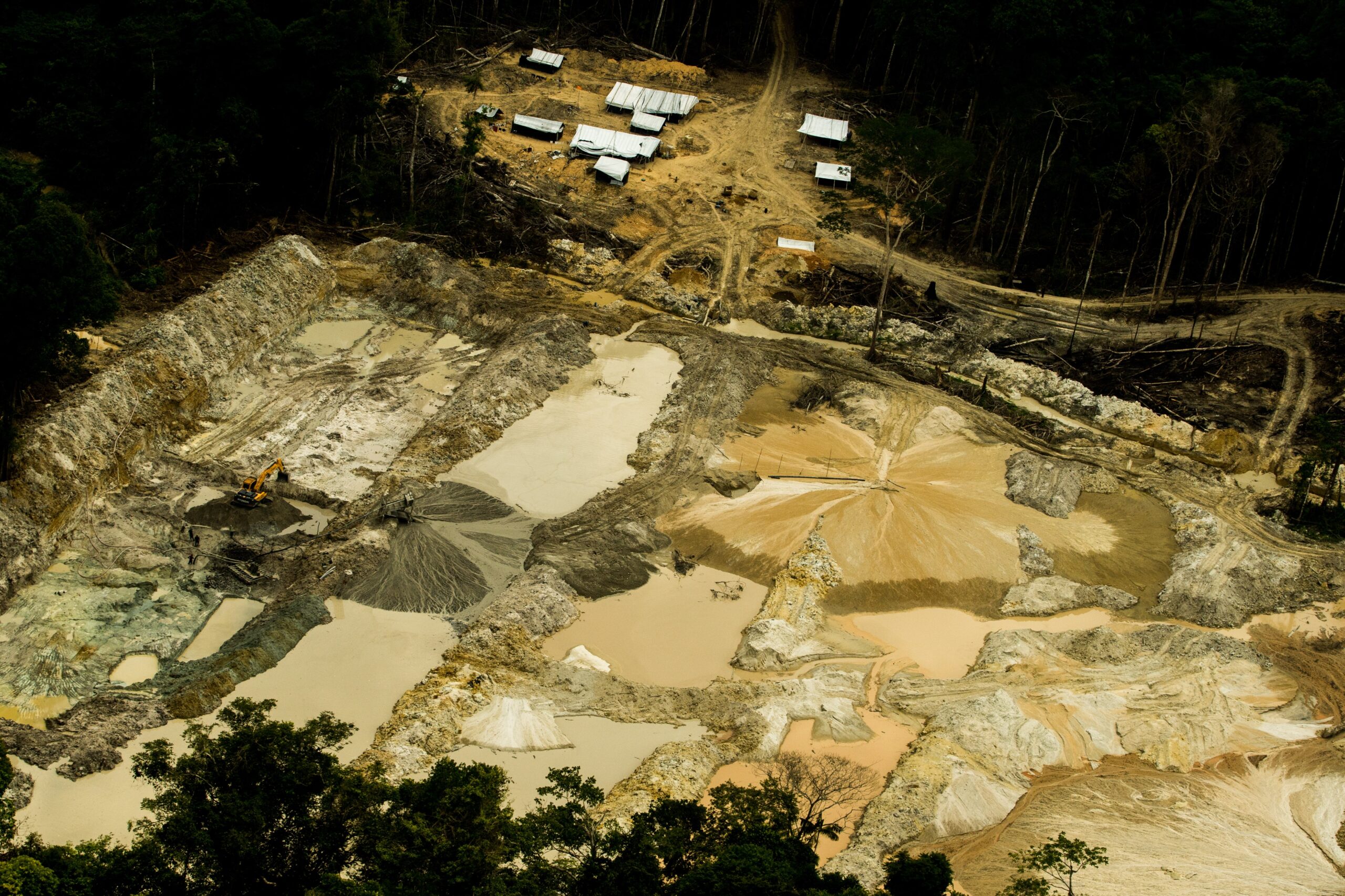 Pepitas De Minas De Ouro. Objeto De Mineração De Minério Precioso