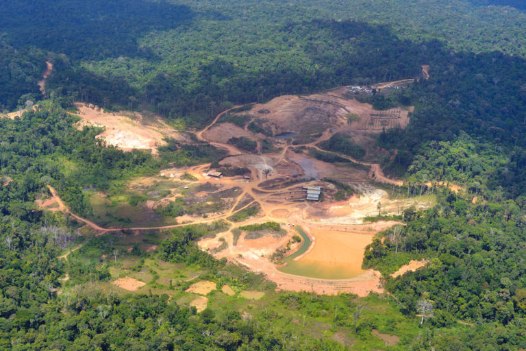 Deforestation in French Guiana. Photo © Didier Gentilhomme