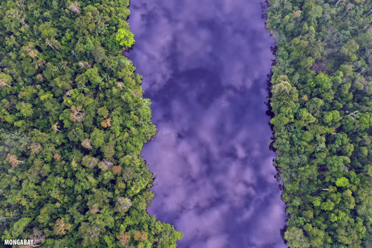 Blackwater oxbow lake in the Amazon