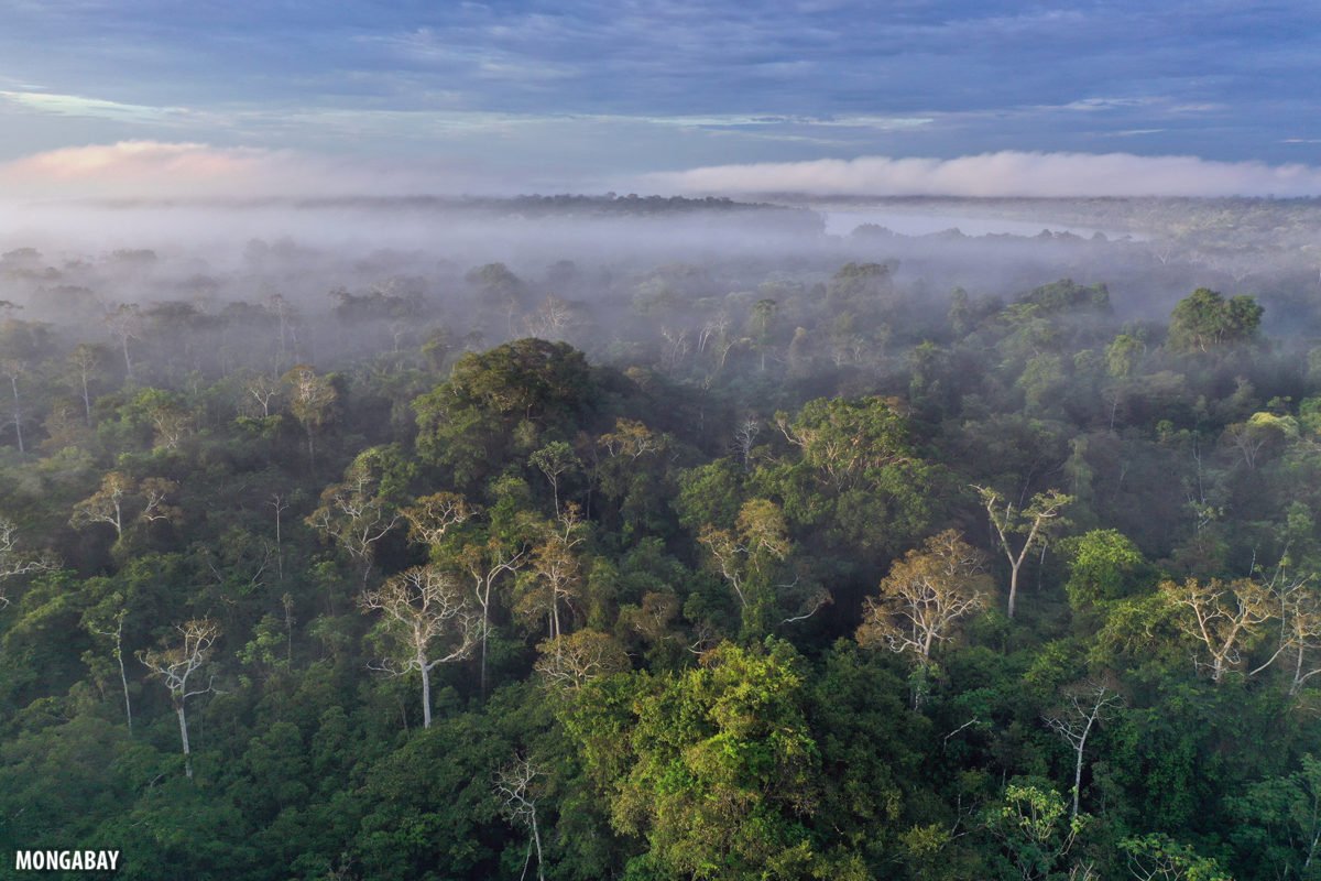 Sunrise over the Amazon rainforest