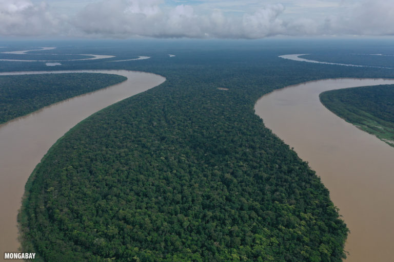 Bend in the Javari river