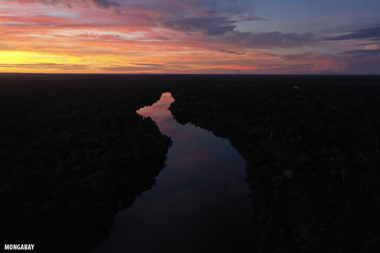 Amazon sunset