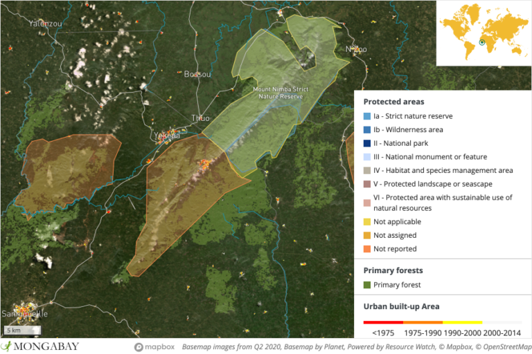 Liberia gave villagers control over their forests. Then a mining