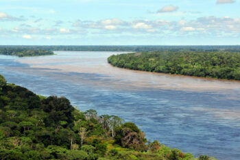The Amazon near Manaus, Brazil. Image by Neil Palmer/CIAT via Wikimedia Commons (CC BY-SA 2.0).