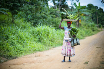Mendouga Rita plants Gnetum in the village of Minwoho. Lekié, Center Region, Cameroon. Photo by Ollivier Girard/CIFOR