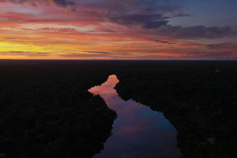 Sunset in the Amazon. Photo by Rhett A. Butler.