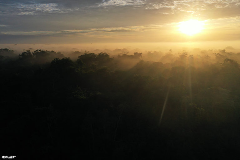 Sunrise in the Amazon. Photo by Rhett A. Butler.