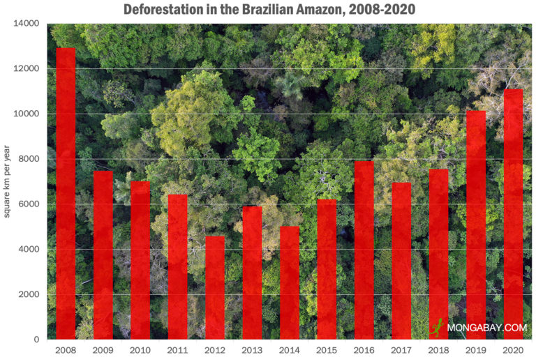 Annual deforestation in the Brazilian Amazon from 2008-2020 according to INPE.