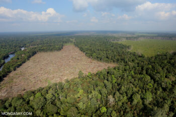Deforestation for palm oil production in Sumatra, Indonesia. Photo by Rhett A. Butler.