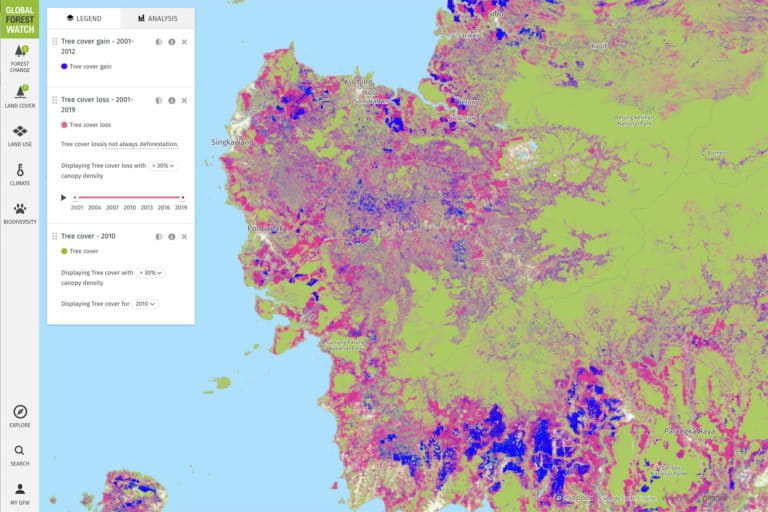 Global Forest Watch map showing tree cover loss in West Kalimantan, Indonesia.