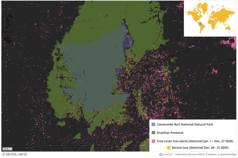 Catatumbo Barí National Natural Park protects some of the last primary rainforest in the region. But satellite data show deforestation continued to whittle it away in 2020 -- including inside the park. 