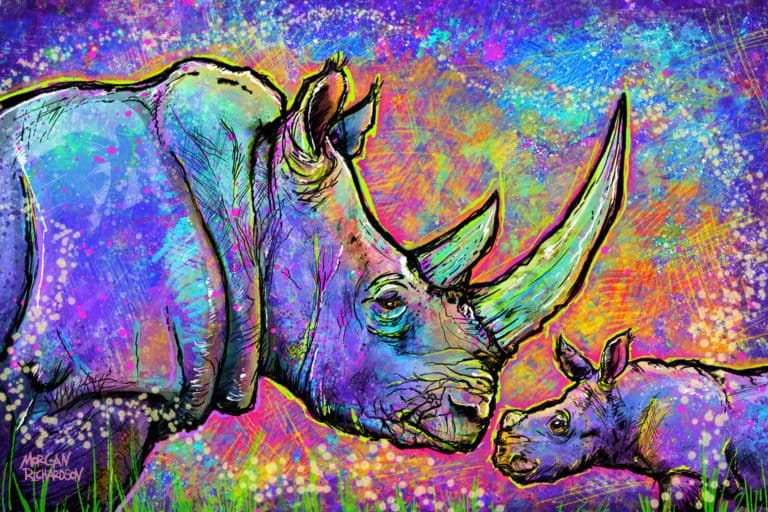 White rhinos by Morgan Richardson