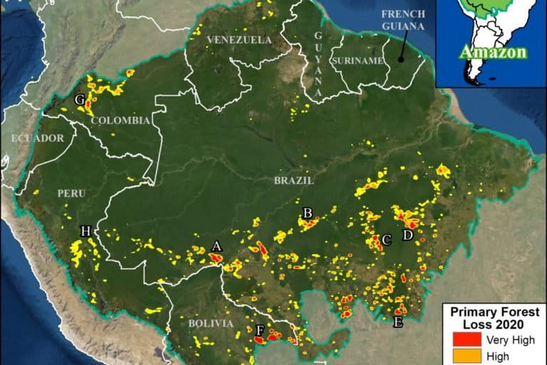 The Amazon lost an area of primary forest larger than Israel in 2020 ...