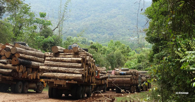 Illegal log trucks, Myanmar. Image courtesy of EIA.