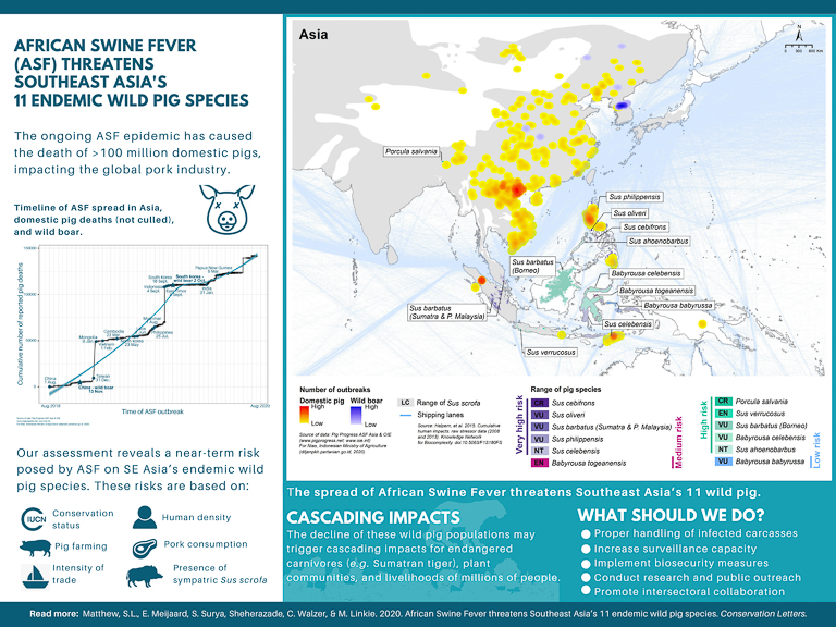 An infographic tracking the timeline and geographic spread of African swine fever in Asia. Image by Luskin et al., 2020.