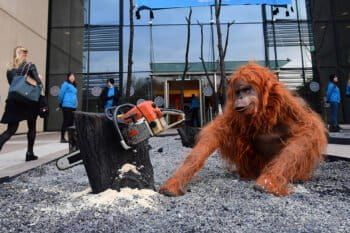 Greenpeace volunteers create a burnt smoldering rainforest with a lifelike animatronic orangutan at the headquarters of Oreo cookies near Uxbridge, UK as part of a campaign to pressure Wilmar, which is a palm oil supplier to Mondelez, which makes Oreo cookies. Photo © Chris J Ratcliffe / Greenpeace