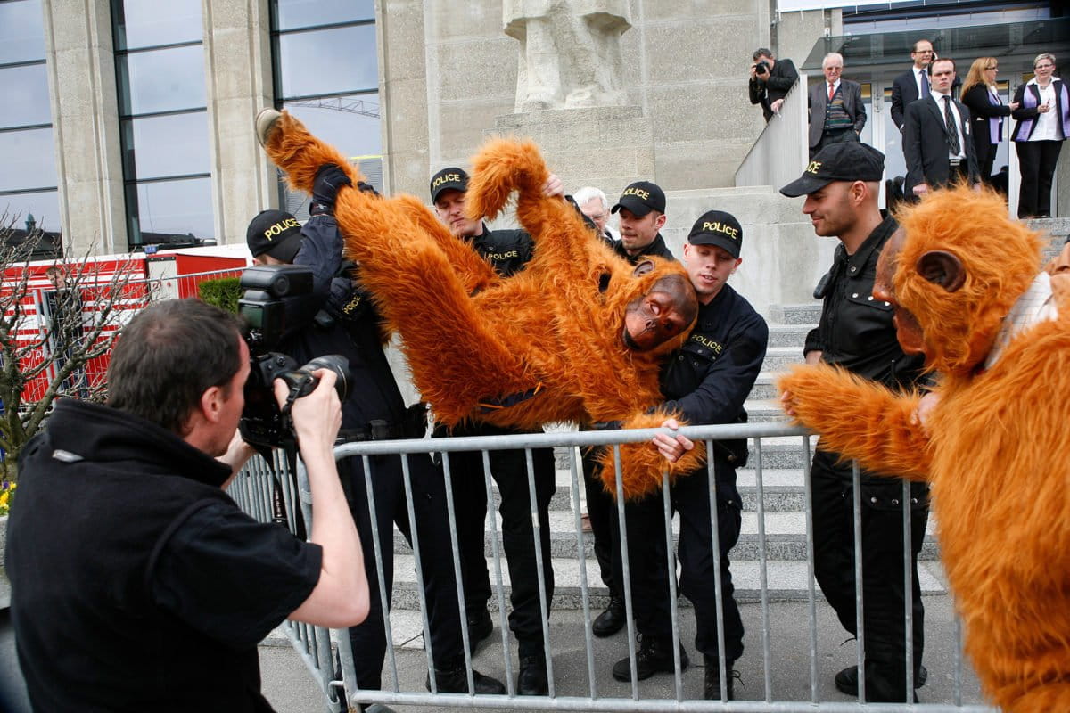 Greenpeace activists dressed as orangutans protest in front of the building of the Nestlé annual shareholders meeting. They hold signs, written "Nestlé, give us a break", a campaign that targeted the food giant for its palm oil sourcing policy. That activism ultimately pushed Nestlé to adopt a zero deforestation policy, which became a model for the industry. © Greenpeace / Ex-Press / Tanja XX Demarmels