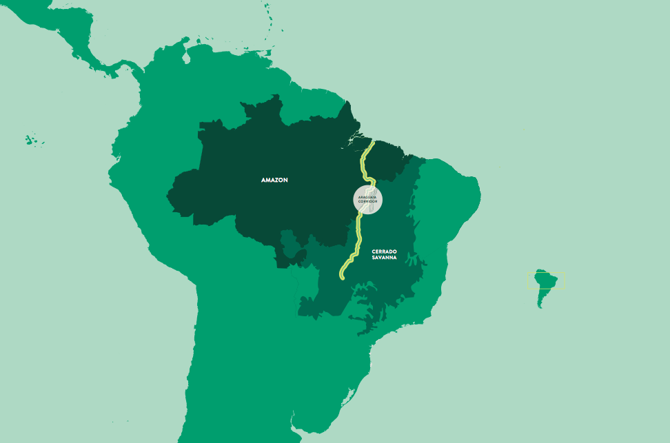 Big Dream Ngo Leads In Creating 1 615 Mile Amazon Cerrado River Greenbelt