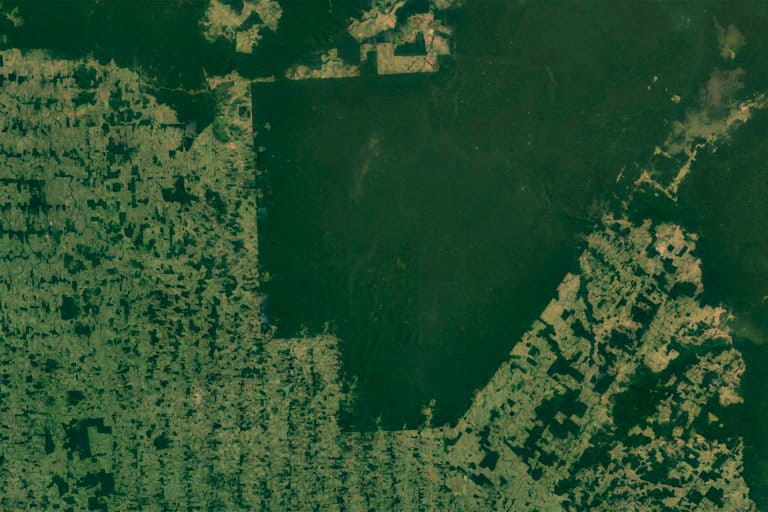 Indigenous territories, like the Surui-Paiter territory in Rondonia and Acre, are easily visible by satellite in parts of the Amazon because of the sharp contrast with deforested areas that surround them. Photo credit: NASA