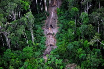 Voluntarily isolated people in the Javari Valley in the Brazilian Amazon. Photo credit: FUNAI.