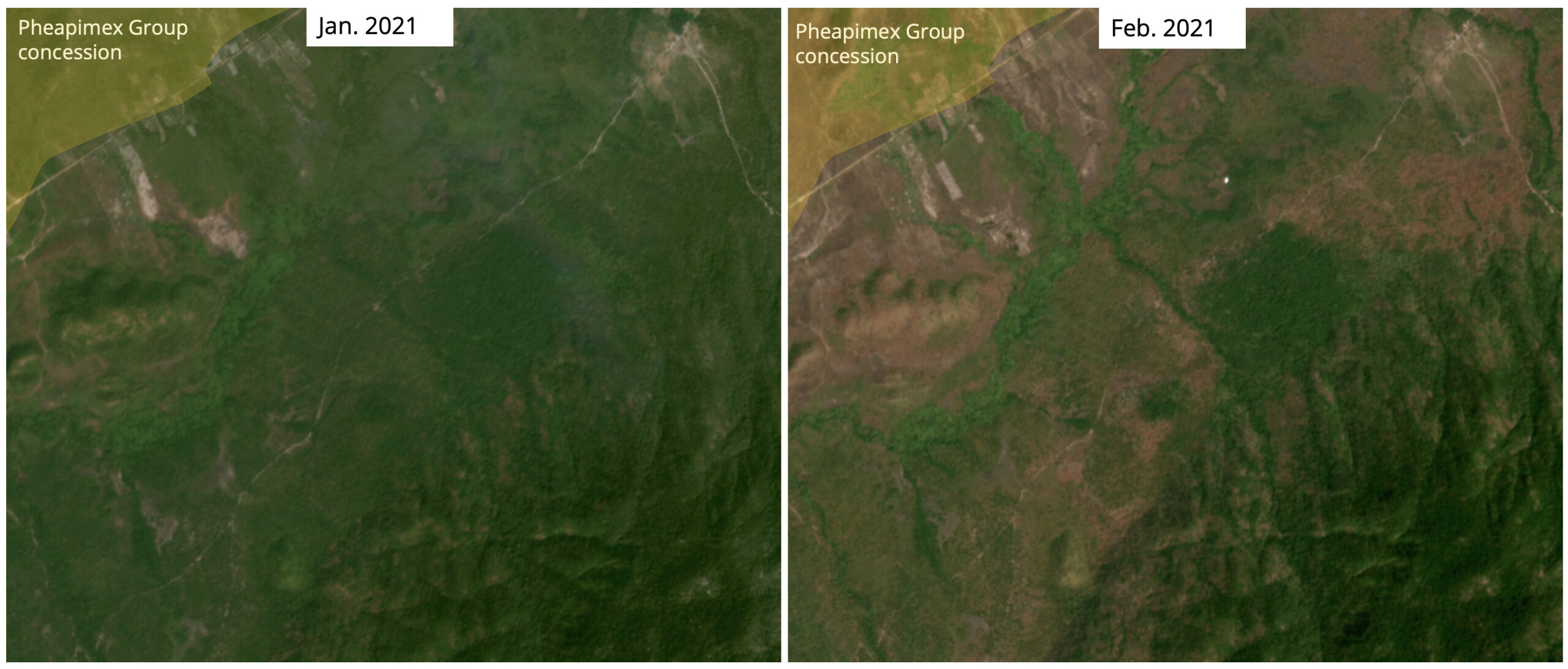 Satellite imagery shows recent burned areas in another area near Pheapimex's concession. According to data from U.S. space agency NASA, fire activity began in the concession.