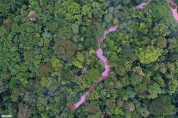 The Amazon rainforest. Photo by Rhett A. Butler / Mongabay.