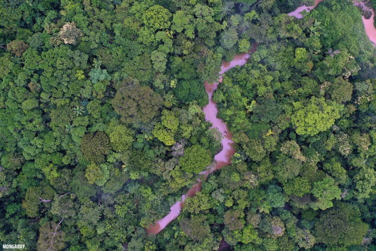 The Amazon rainforest. Photo by Rhett A. Butler / Mongabay.