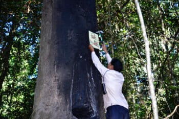 Ouch Leng nails a sign prohibiting logging in Prey Lang Wildlife Sanctuary. Image courtesy of the Goldman Environmental Prize.