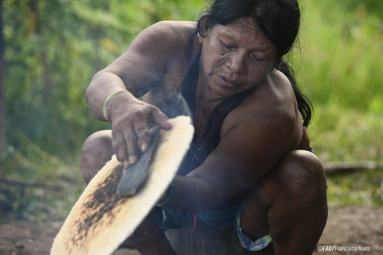 Over the past two decades, a range of programs and policies in Latin American and the Caribbean have been introduced to secure Indigenous land rights and make use of Indigenous knowledge in forest management. Image by Francisco Nieto/FAO.