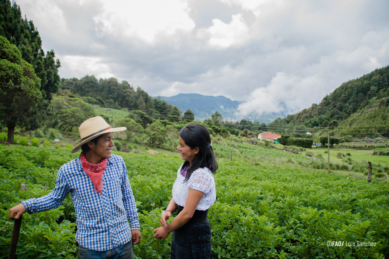On Indigenous Peoples’ Day, celebrating Earth’s unsung environmental stewards
