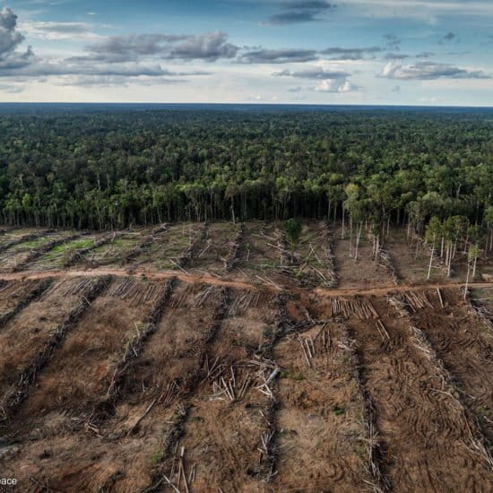 Five Pacific islands have already disappeared due to sea level rise